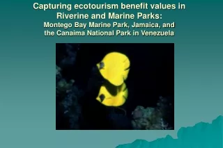 Relationship made between ecosystems and the value of economic goods and services