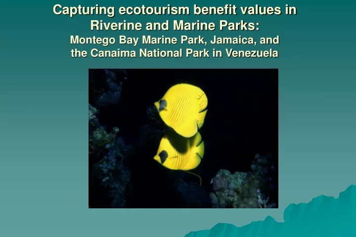 capturing ecotourism benefit values in riverine