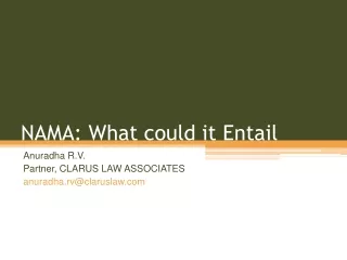 NAMA: What could it Entail