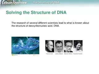 Solving the Structure of DNA