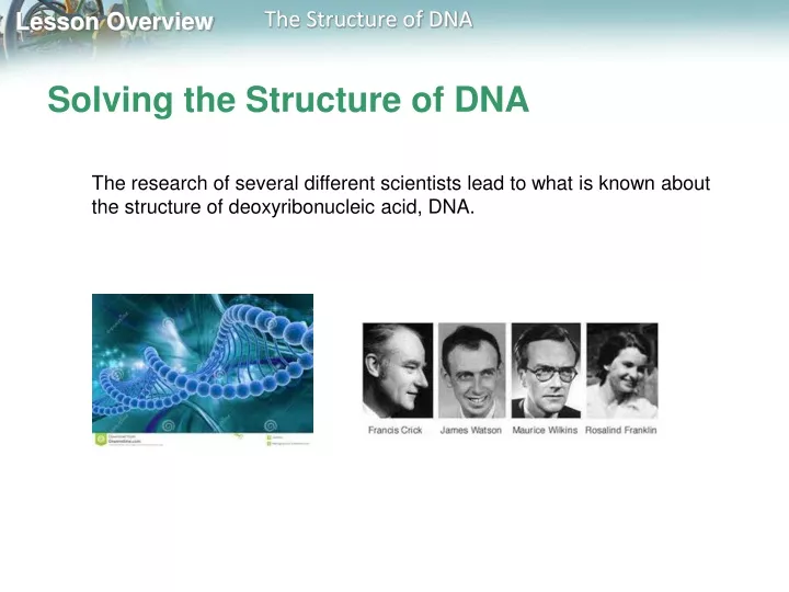 solving the structure of dna