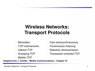 Wireless Networks:  Transport Protocols