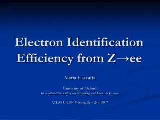 Electron Identification Efficiency from Z →ee
