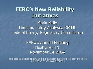FERC’s New Reliability Initiatives