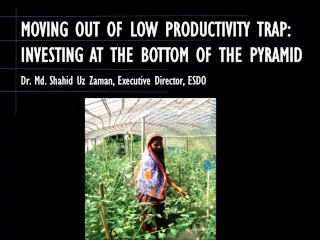 MOVING OUT OF LOW PRODUCTIVITY TRAP:  INVESTING AT THE BOTTOM OF THE PYRAMID