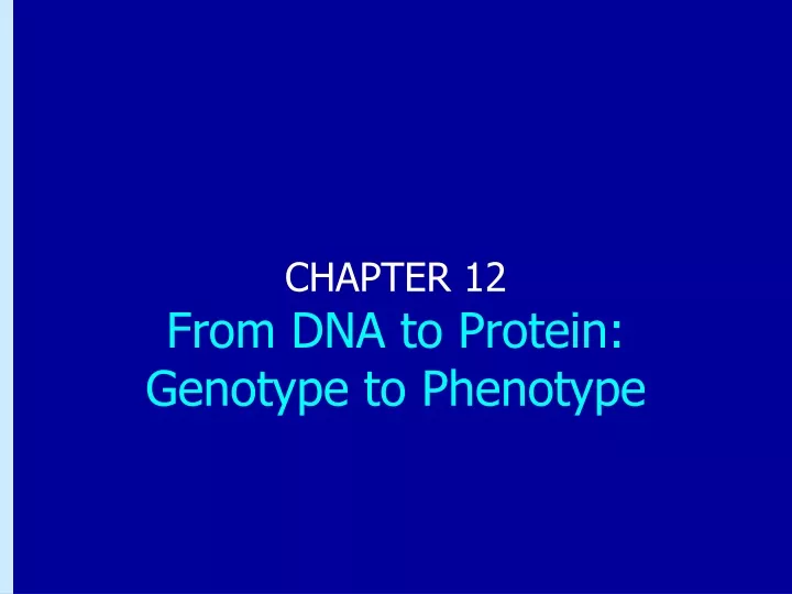 chapter 12 from dna to protein genotype