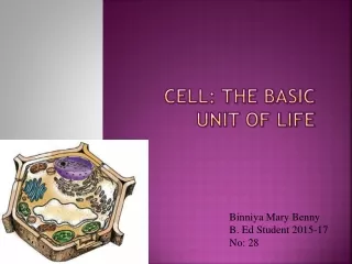 Cell: The basic unit of life