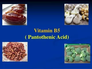 Vitamin B5 ( Pantothenic Acid)