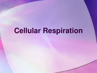 Cellular Respiration