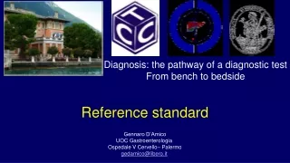 Reference standard