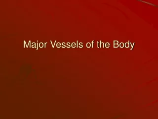 Major Vessels of the Body