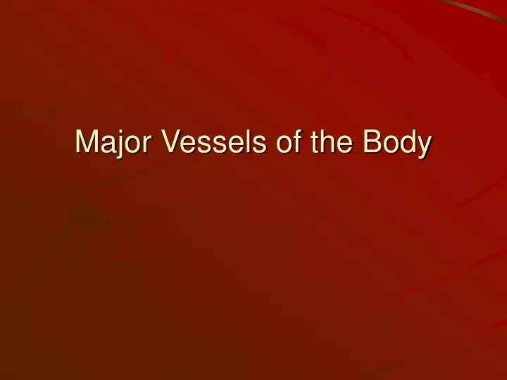 major vessels of the body
