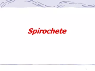 Spirochete