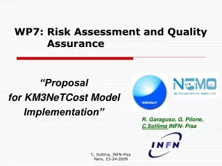 “Proposal  for KM3NeTCost Model  Implementation”