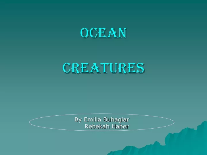 ocean creatures