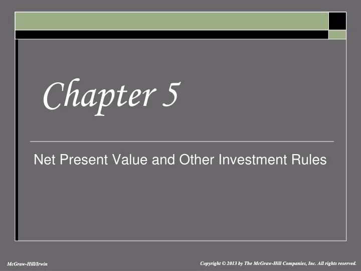 net present value and other investment rules
