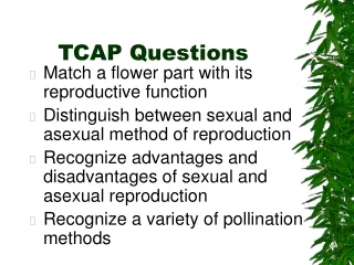 TCAP Questions