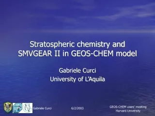 Stratospheric chemistry and SMVGEAR II in GEOS-CHEM model