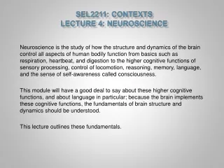 SEL2211:  Contexts Lecture 4: Neuroscience