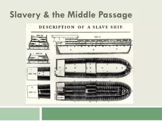 Slavery &amp; the Middle Passage