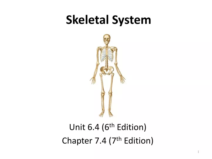 skeletal system