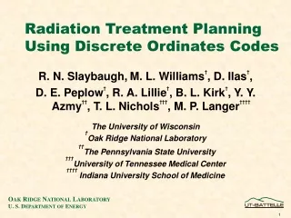 Radiation Treatment Planning Using Discrete Ordinates Codes