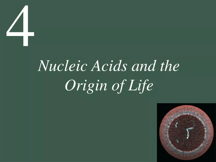 nucleic acids and the origin of life