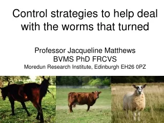 The need for worm control
