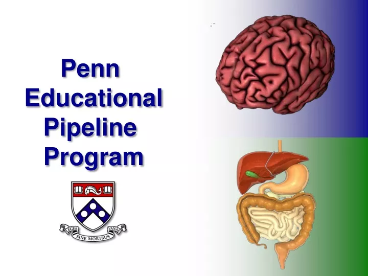 penn educational pipeline program