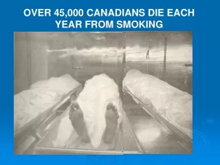 OVER 45,000 CANADIANS DIE EACH YEAR FROM SMOKING