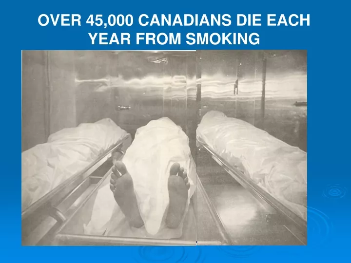 over 45 000 canadians die each year from smoking
