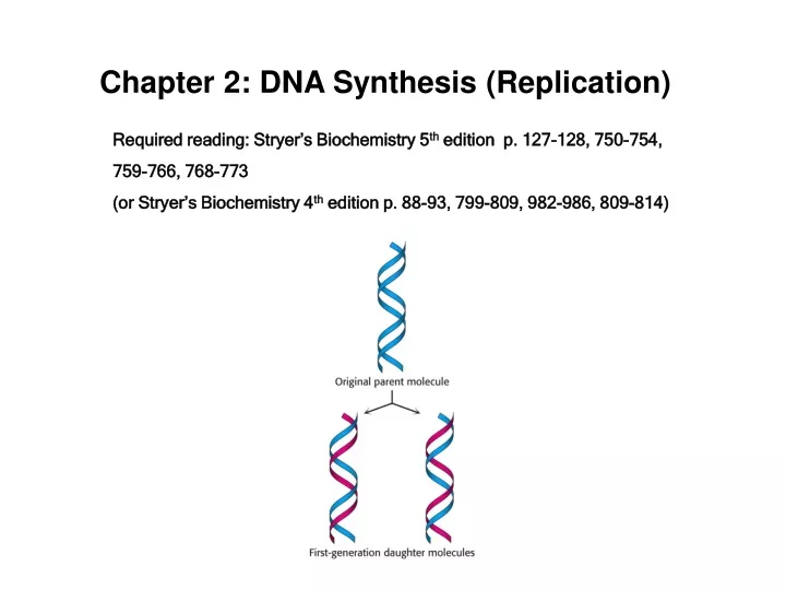 chapter 2 dna synthesis replication