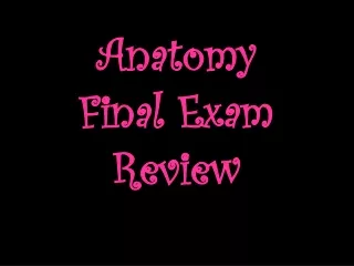 Anatomy  Final Exam  Review