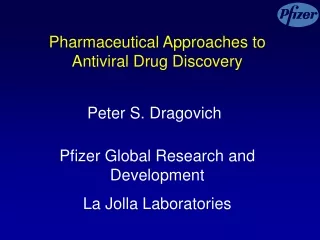 Pharmaceutical Approaches to Antiviral Drug Discovery