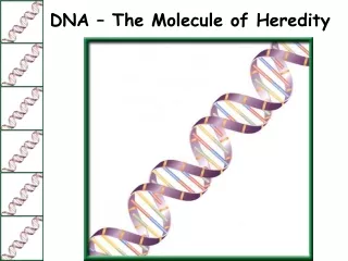 DNA – The Molecule of Heredity