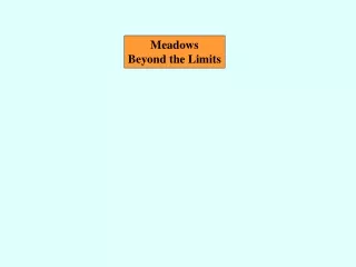 Meadows Beyond the Limits