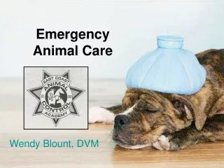 Emergency Animal Care