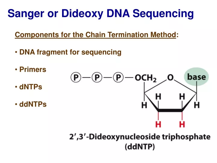 sanger or dideoxy dna sequencing