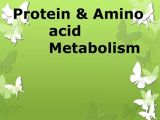 Protein &amp; Amino acid Metabolism