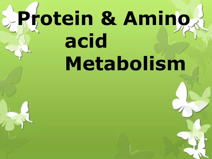 protein amino acid metabolism