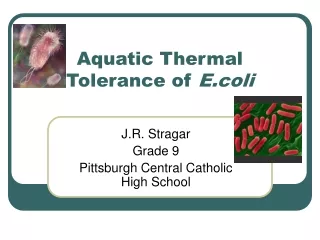 Aquatic Thermal Tolerance of  E.coli