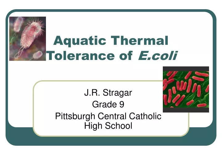 aquatic thermal tolerance of e coli