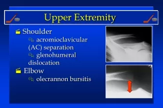 Shoulder  acromioclavicular (AC) separation  glenohumeral dislocation  Elbow  olecrannon bursitis