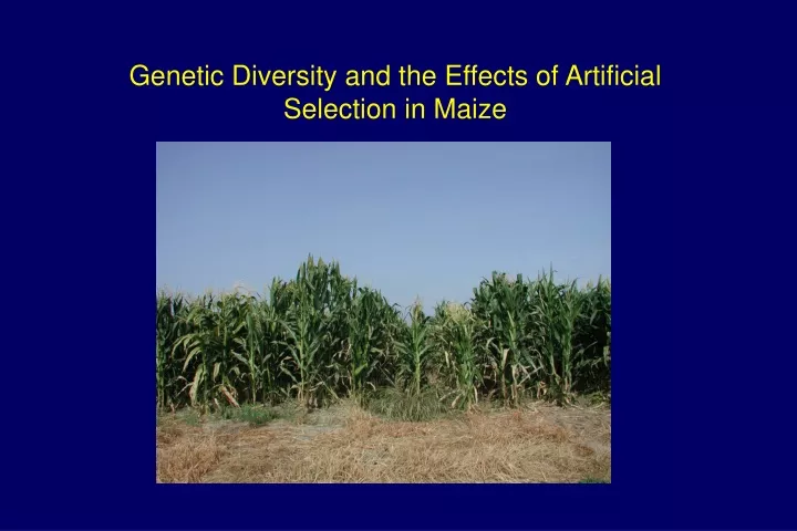 genetic diversity and the effects of artificial