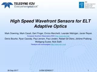 High Speed Wavefront Sensors for ELT Adaptive Optics