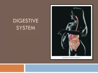 Digestive System