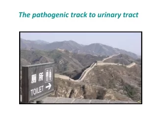 The pathogenic track to urinary tract
