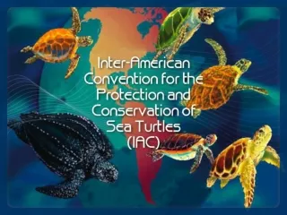 Inter-American Convention for the Protection and Conservation of Sea Turtles (IAC)