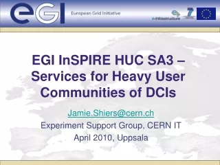 EGI InSPIRE HUC SA3 –   Services for Heavy User Communities of DCIs