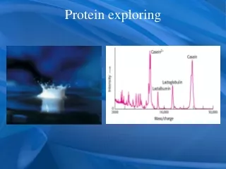Protein exploring